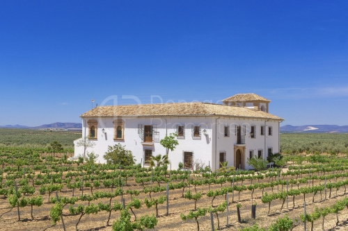 Hôtel charmant andalou à Antequera